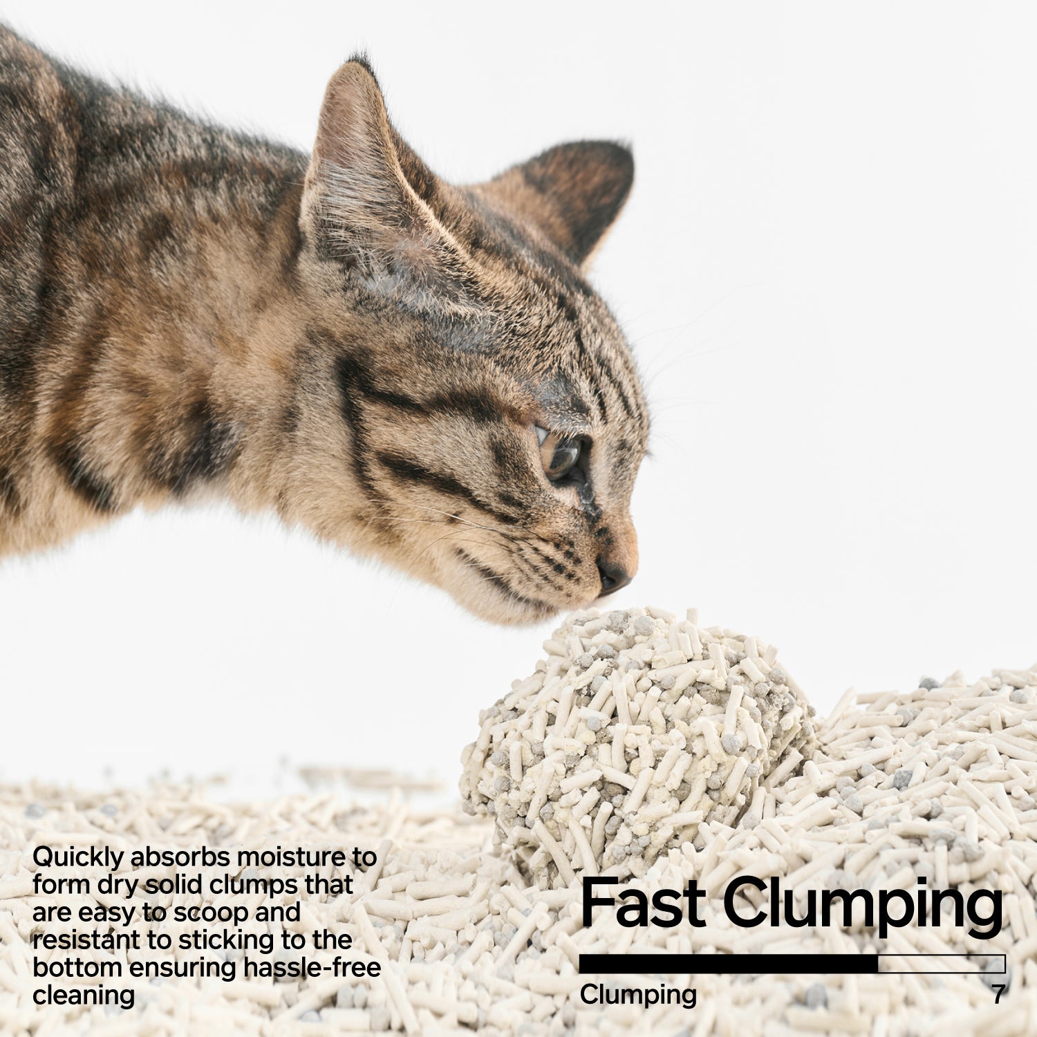 Signature Tofu Blend Cat Litter