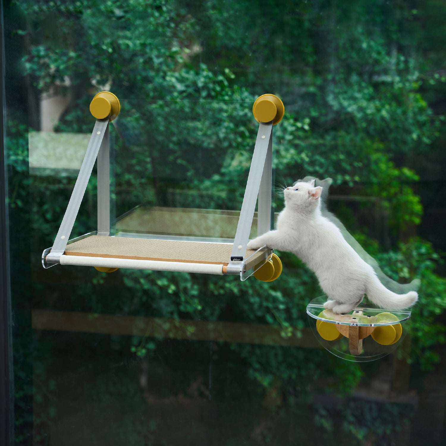 Cat Window Perch - Sunbathing Time, Cat Stair