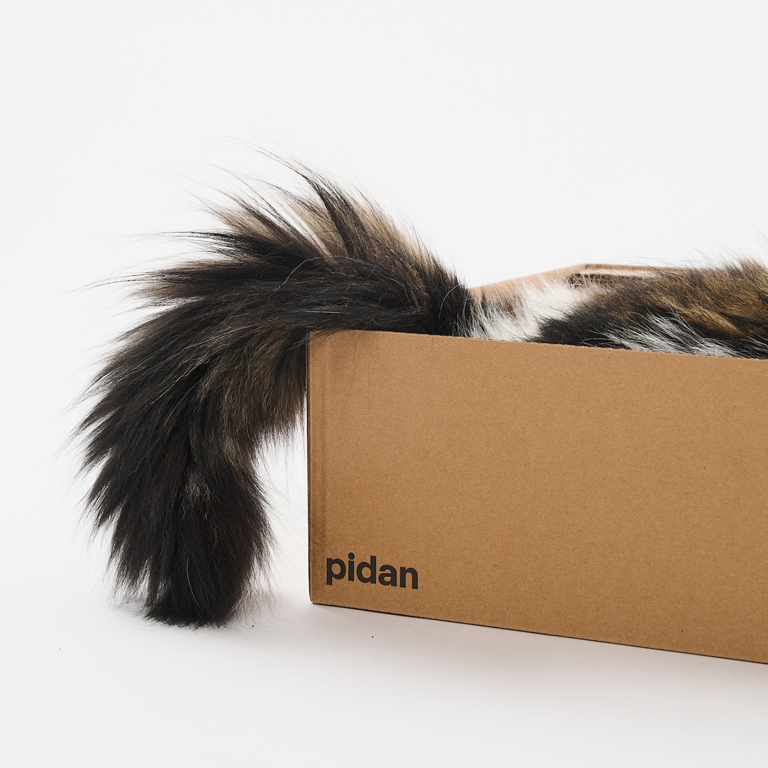 Box Cat Scratcher and Lounge