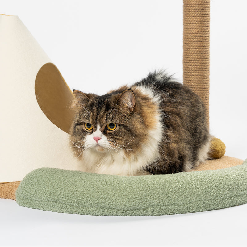 Pidan cat scratcher hotsell