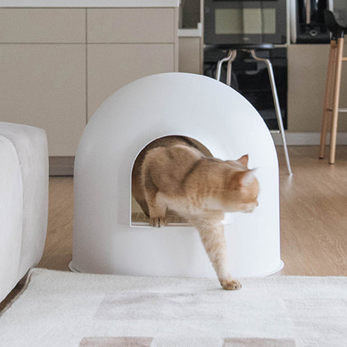 Igloo discount cat carrier