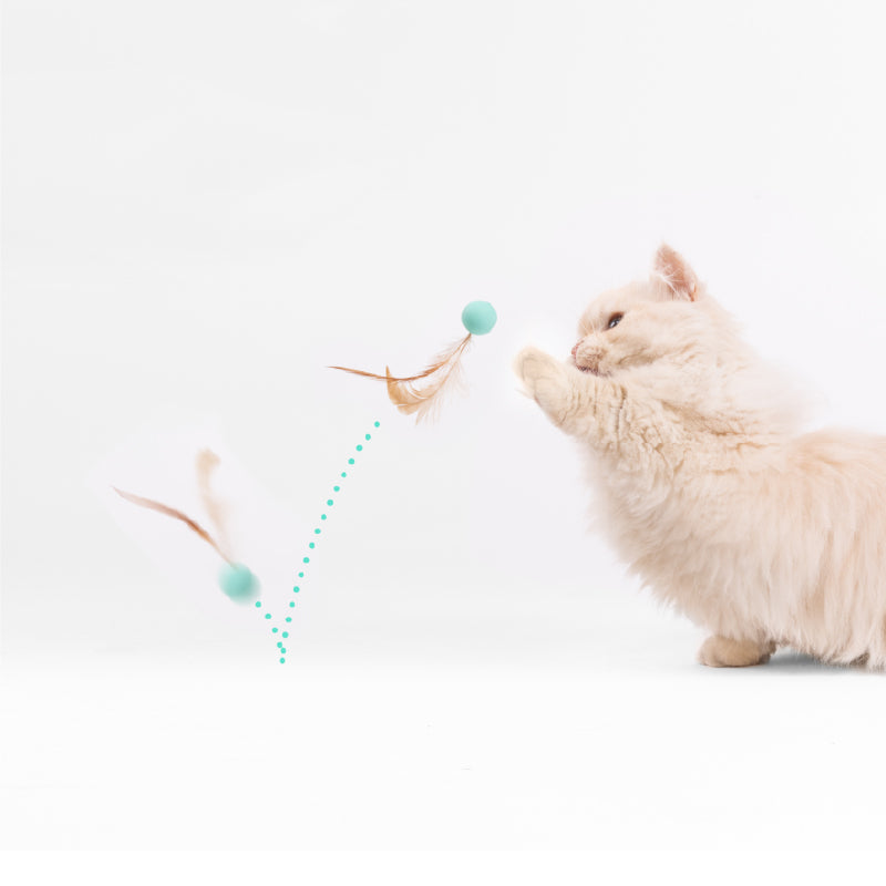 Cat Toy