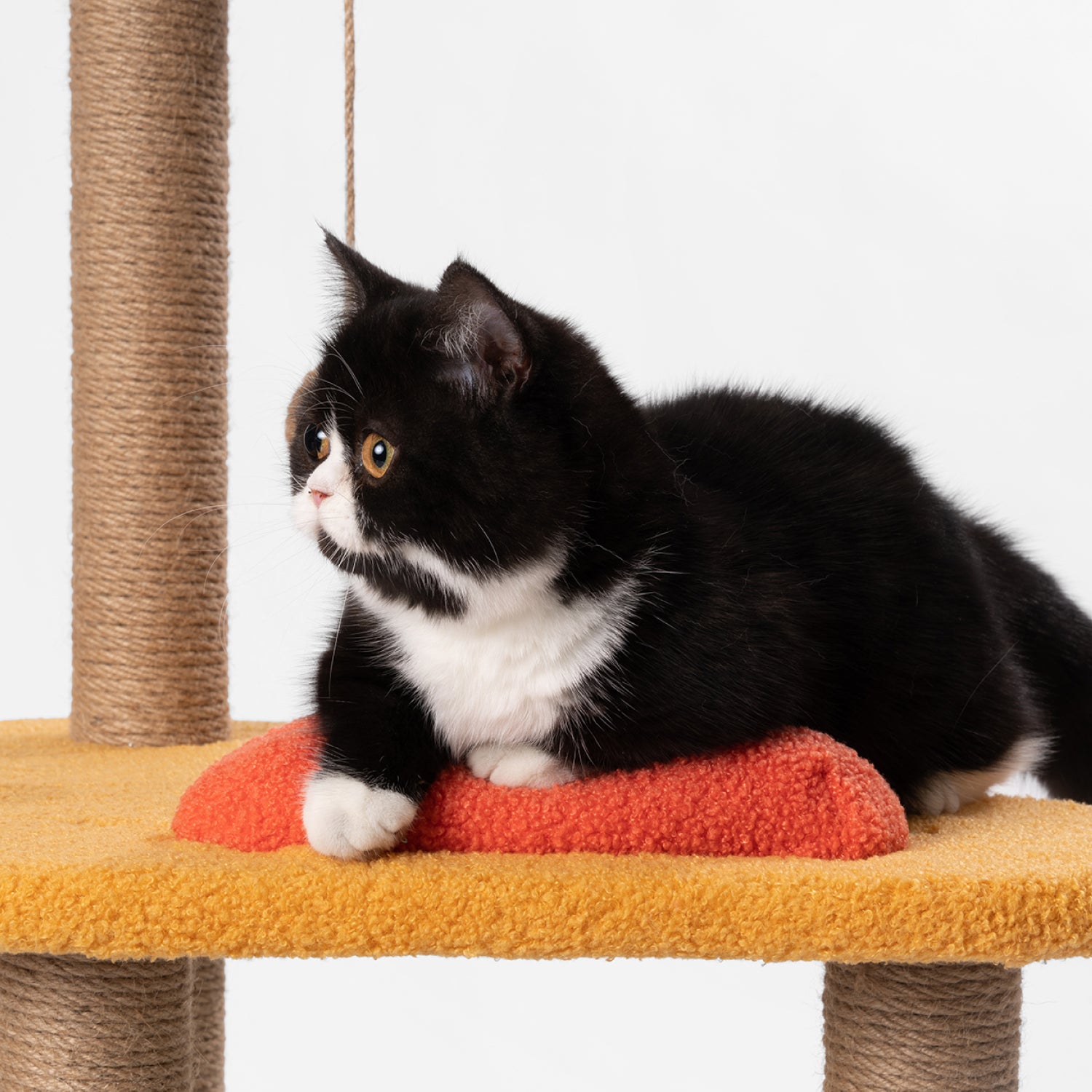 pidan 49 in Cat Tower for Large Cats with Natural Sisal Rope Soft Velvet Cat Tree